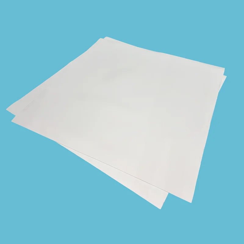 প্রসারিত PTFE শীট